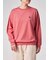 ウィメンズ シーズンカラーゼブラ 長袖Tシャツ