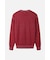 MNS SP ROUND PULLOVER KNIT