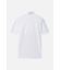 MNS SM COLOR POINT PERFORATED COLLAR SS