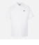 MNS SP KNITTED NECK COLLAR SS