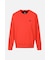 MNS SP POINT ROUND PULLOVER KNIT
