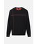 MNS SP PATTERN ROUND PULLOVER KNIT