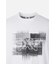 MNS SM GRAPHIC ROUND NECK SS