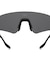 LUXE TITANIUM GOGGLES