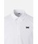 MNS SM COLOR LINE POINT PERFORATED COLLAR SS
