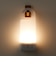 ＬＥＤ持ち運びできるあかり