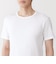 紳士　さらっと綿　クルーネック半袖Ｔシャツ