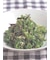 松葉炊き昆布 箱入 80g