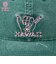 UNIVERSITY OF HAWAII ハワイ大学 キャップ