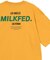 WIDE S/S TEE SLANTED STENCIL