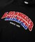 CHENILLE LOGO LAYERED SWEAT HOODIE