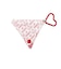 CHERRIES PRINT PVC TRIANGULAR CASE