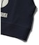 COLLEGE LOGO V-NECK SWEAT VEST