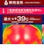 ウィンドコアアイス×ヒーターペルチェベストプロ3