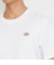 メープルトンTシャツ 半袖