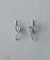 Burgeon Earring