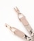HONEYSUCKLE ROSE(ハニーサックルローズ)【レディース】ビットベルト