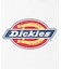 Dickies(ディッキーズ)【レディース】アイコンロゴクロップドＴシャツ