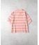 BEVERLY HILLS POLO CLUB(ビバリーヒルズポロクラブ)【レディース】ポロシャツ