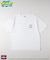 【スポンジ・ボブ】プリントTシャツ（親子リンク）