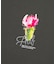 DESERT ROSE S/S TEE