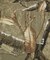 REALTREE CROMER SHORT