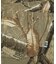 REALTREE CROMER SHORT