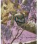 REALTREE CROMER SHORT