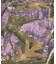 REALTREE CROMER SHORT