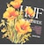 POPPY S/S TEE