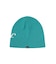 THE CROWN BEANIE