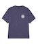 REGIONAL WASHED S/S TEE