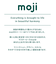 モジ moji イッピー専用 スターター・セット（ハーネスなし）
