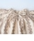 blouse E5