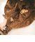 onepiece E8 brown