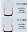 【平均レビュー4.6★】BEAUTY FORM-T cotton ロゴ ハーフスリーブ Tシャツ