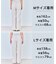 【セットアップ着用可/ウエストゴム】TENNEN TOUCH セミフレア パンツ