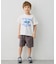【綿100％】サメプリント 半袖Tシャツ
