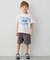 【綿100％】サメプリント 半袖Tシャツ