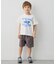 【綿100％】サメプリント 半袖Tシャツ