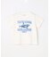 【綿100％】サメプリント 半袖Tシャツ
