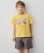 【綿100％】昆虫プリント 半袖Tシャツ