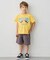 【綿100％】昆虫プリント 半袖Tシャツ