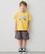 【綿100％】昆虫プリント 半袖Tシャツ