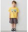 【綿100％】昆虫プリント 半袖Tシャツ