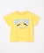 【綿100％】昆虫プリント 半袖Tシャツ