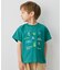 【綿100％】昆虫プリント 半袖Tシャツ