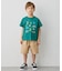 【綿100％】昆虫プリント 半袖Tシャツ