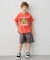 【綿100％】恐竜プリント 半袖Tシャツ