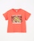 【綿100％】恐竜プリント 半袖Tシャツ
